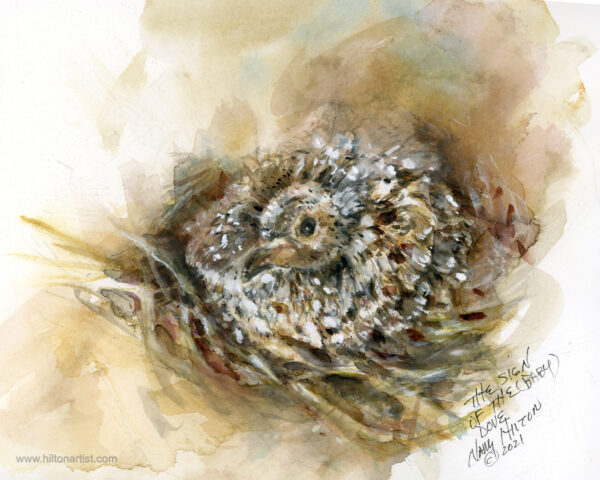 The Sign of the Baby Dove
