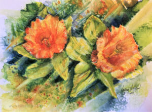 Daffodils